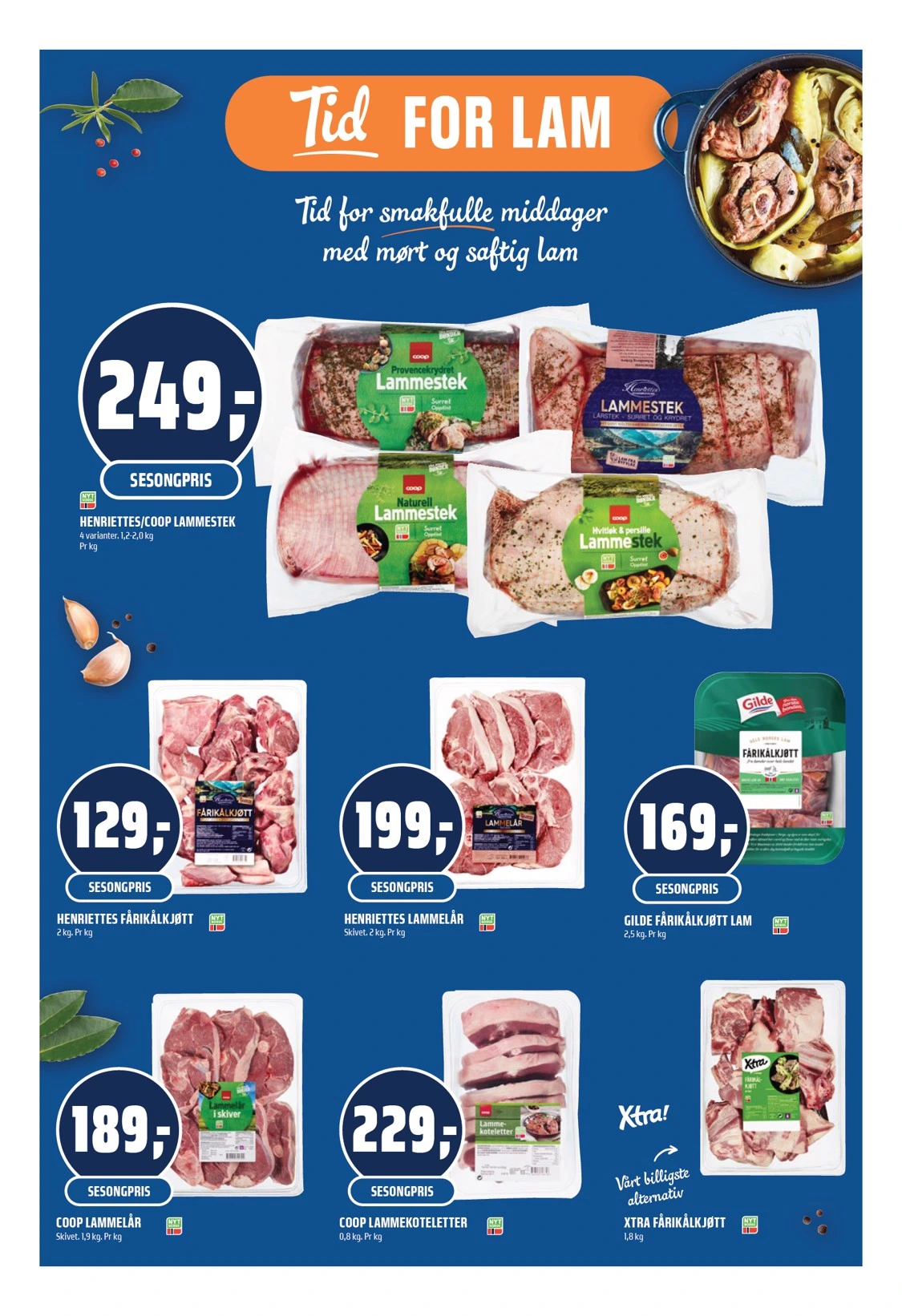 Flyer page 11