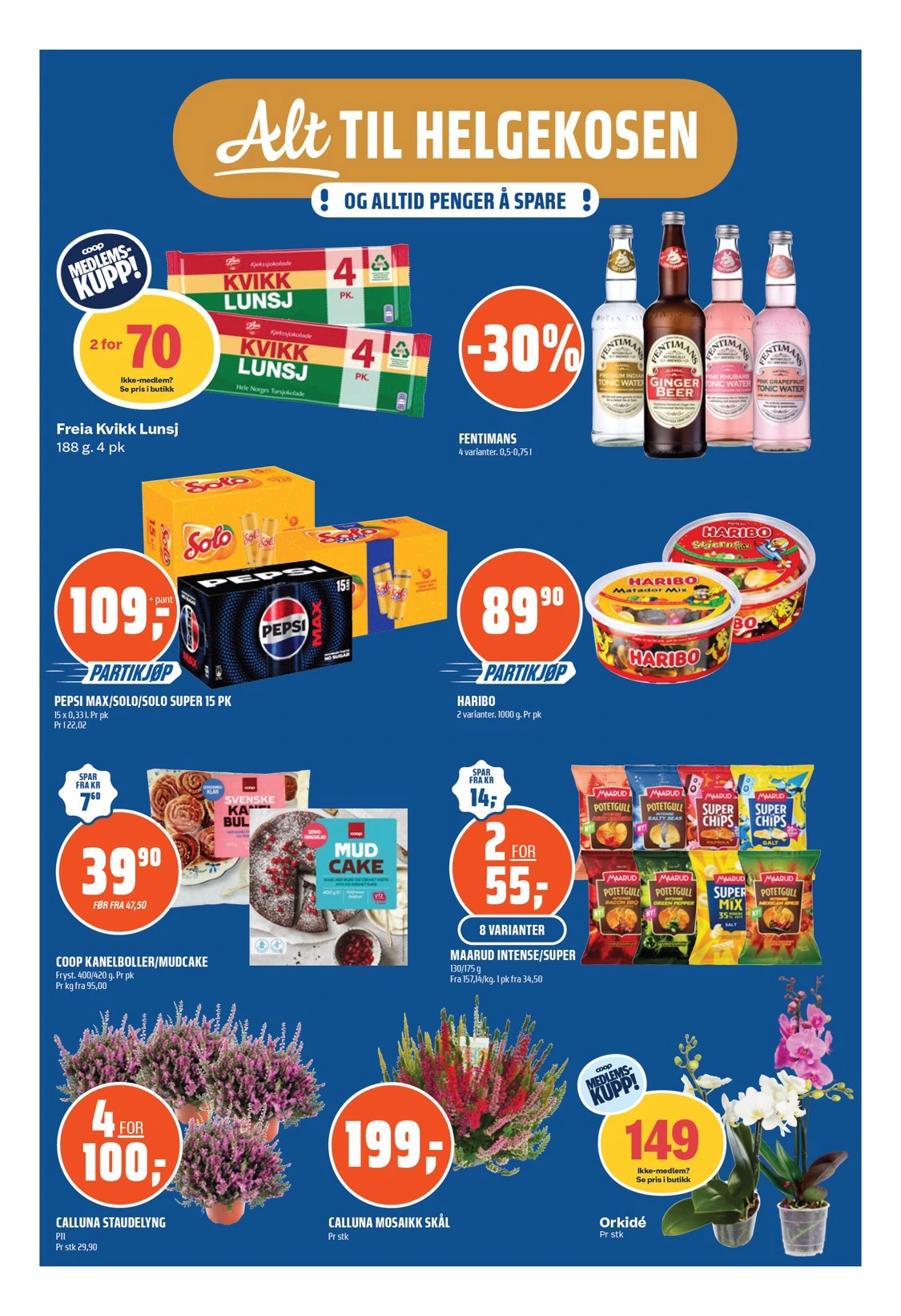 Flyer page 16