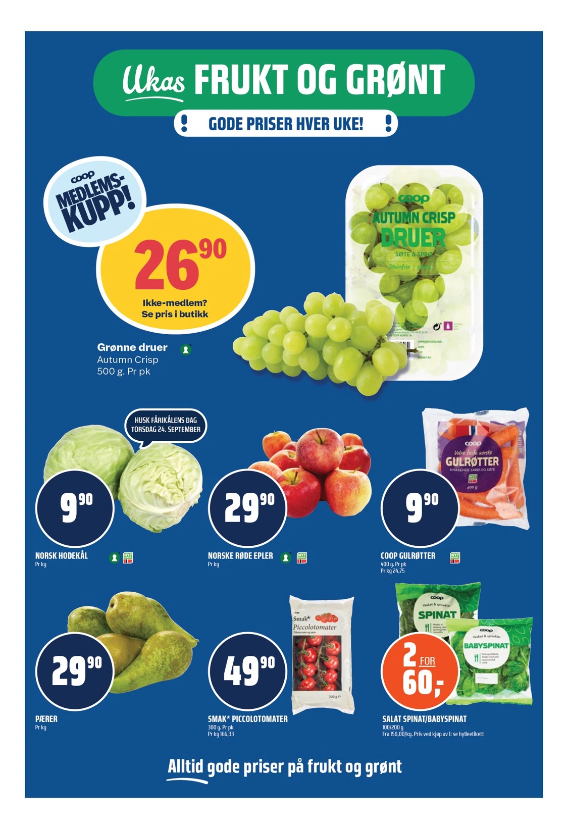 Flyer page 6