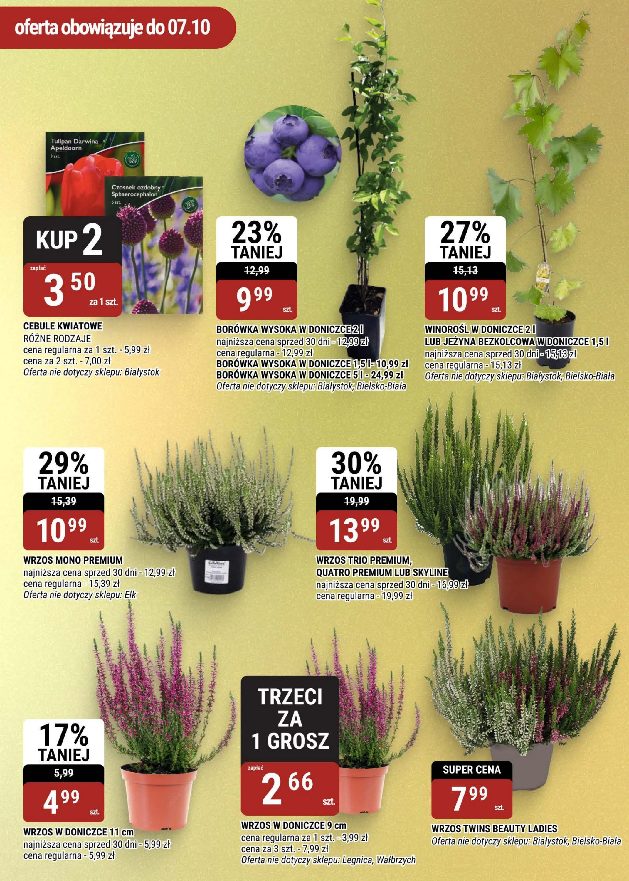 Flyer page 18