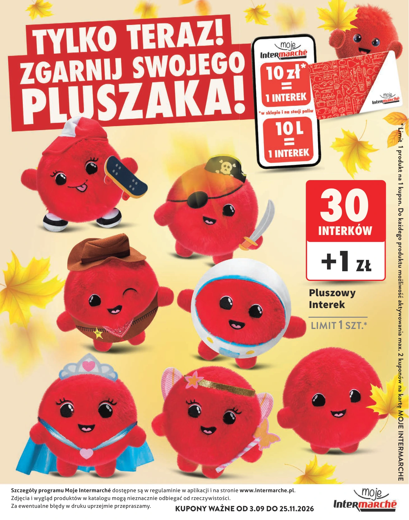 Flyer page 33