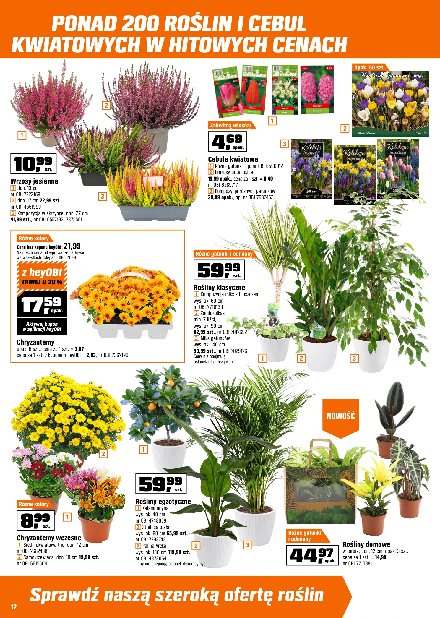 Flyer page 12