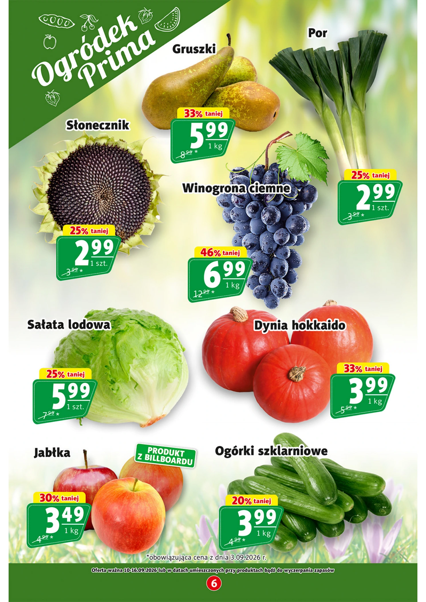Flyer page 6