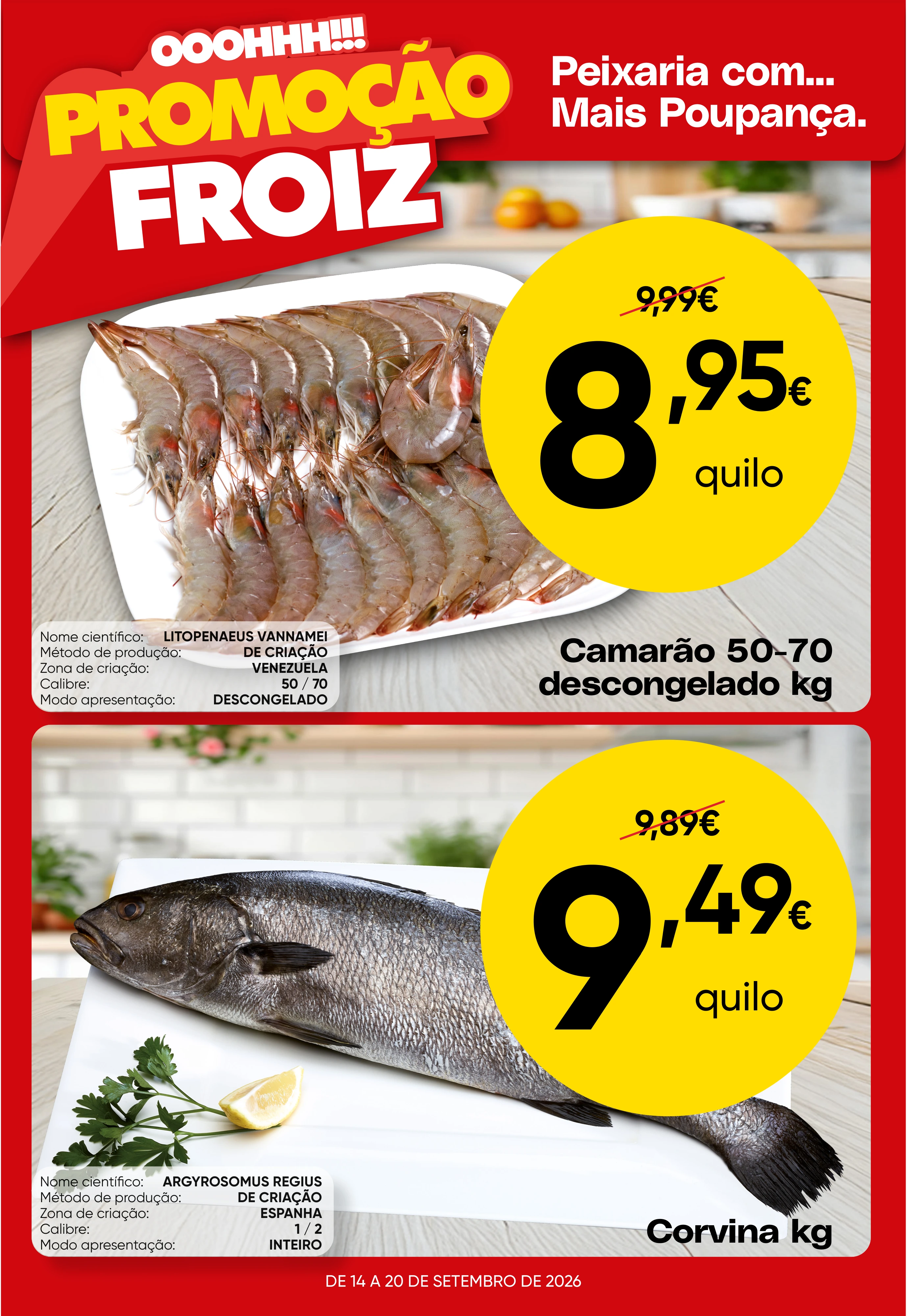 Flyer page 2