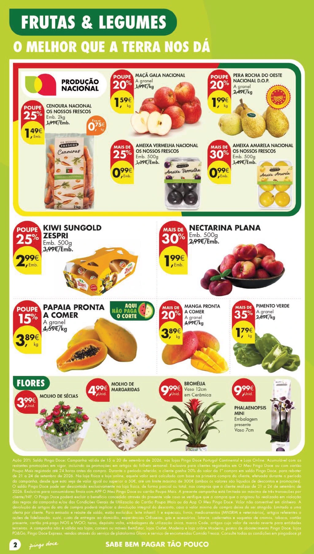 Flyer page 2