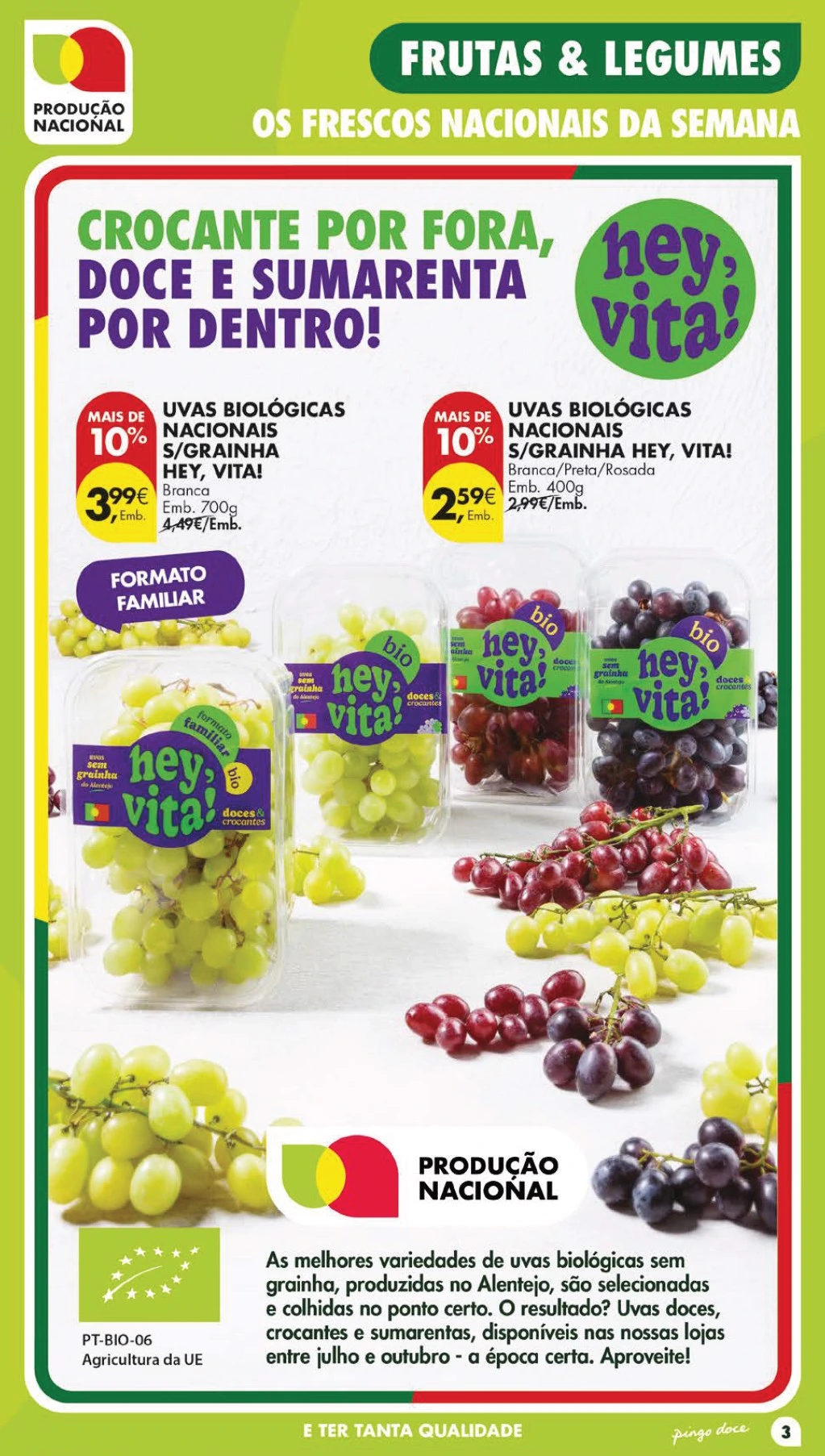 Flyer page 3