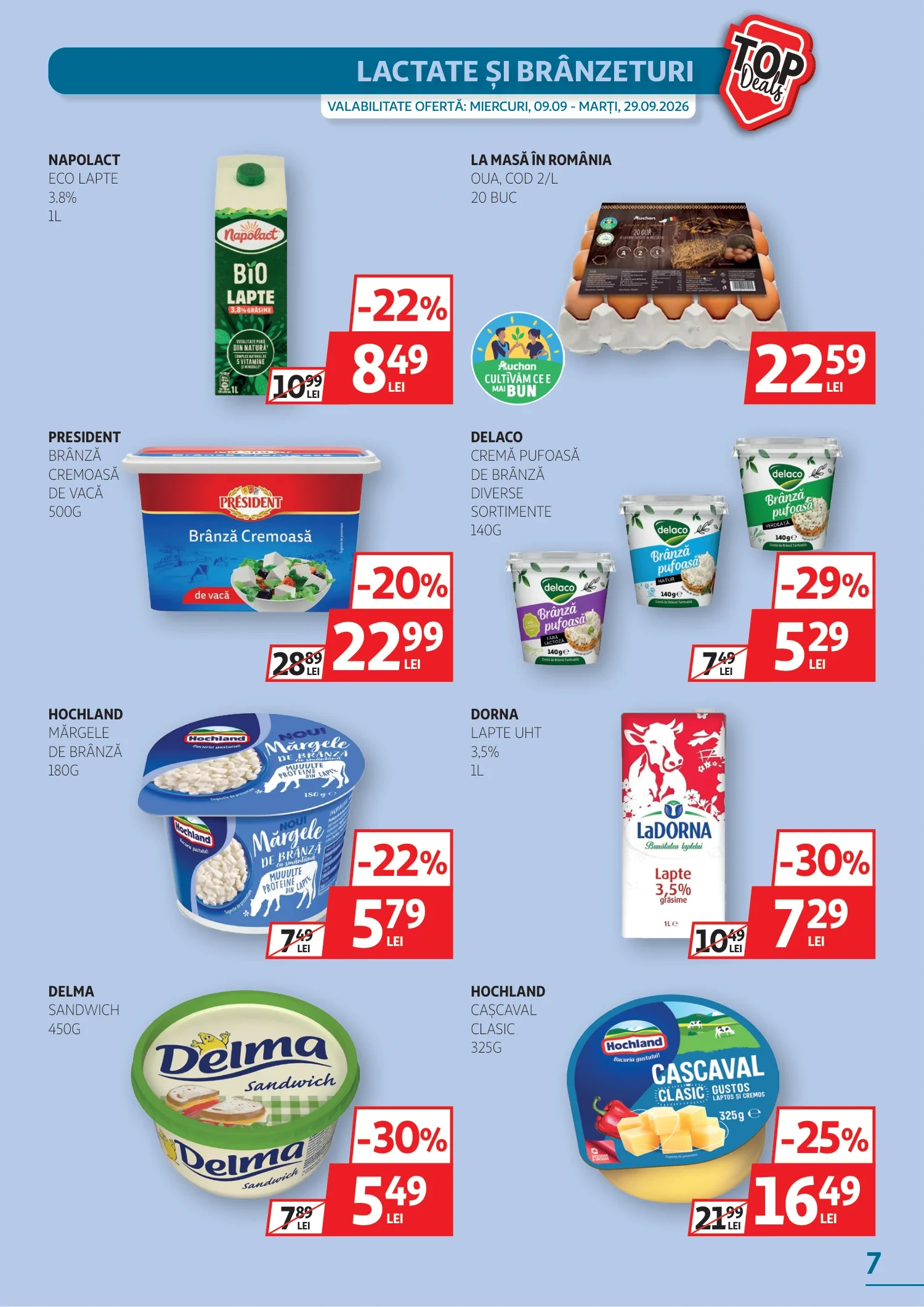Flyer page 7
