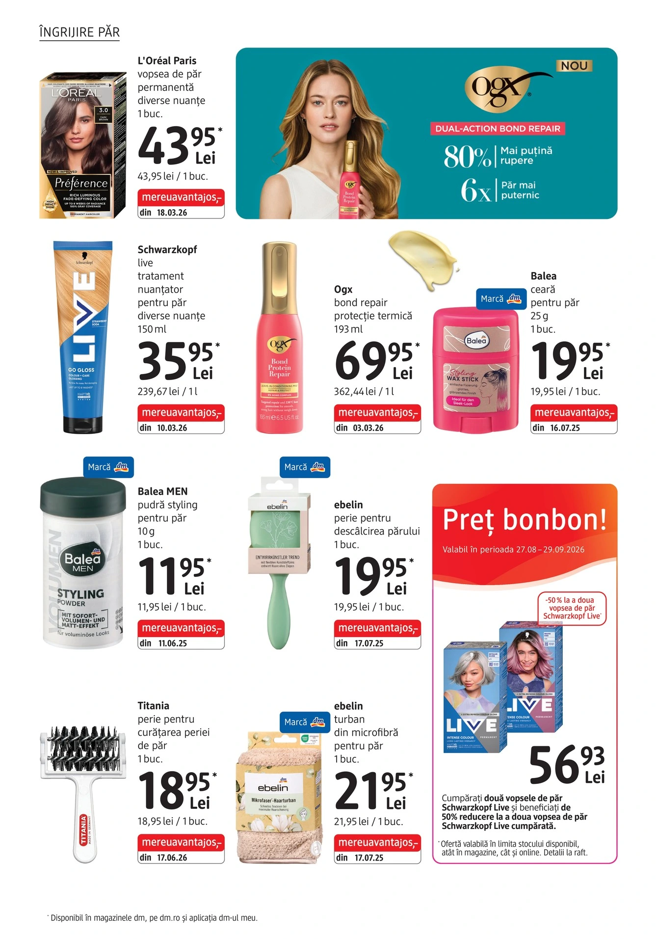 Flyer page 12