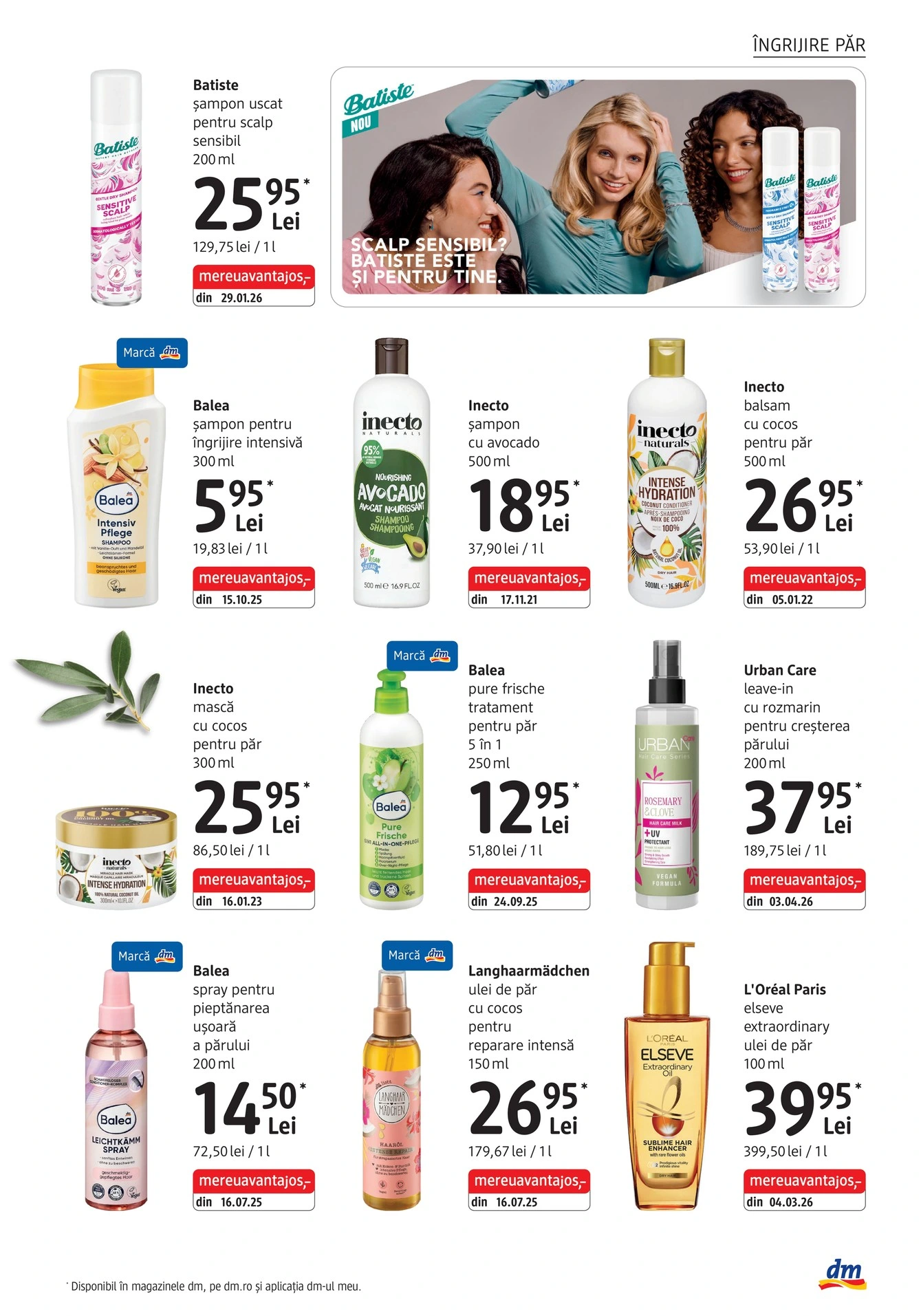 Flyer page 13