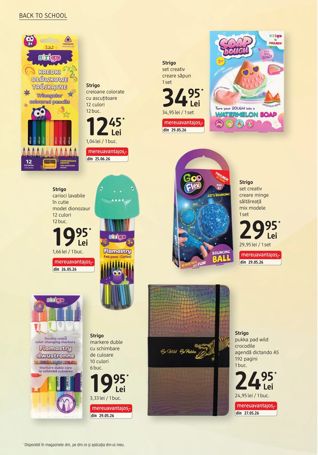 Flyer page 6