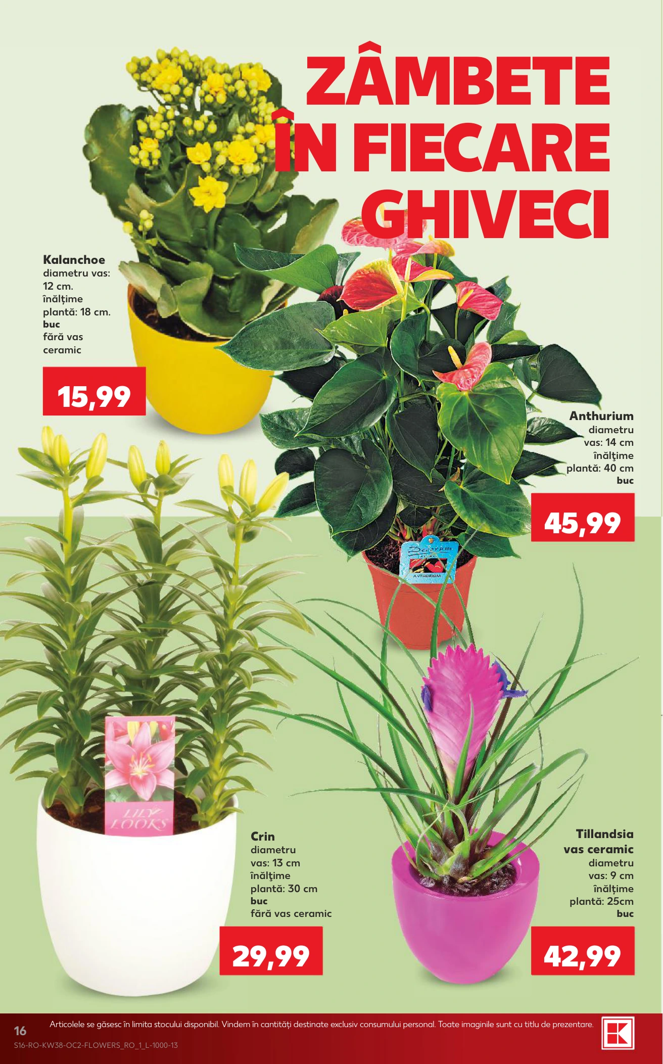 Flyer page 16