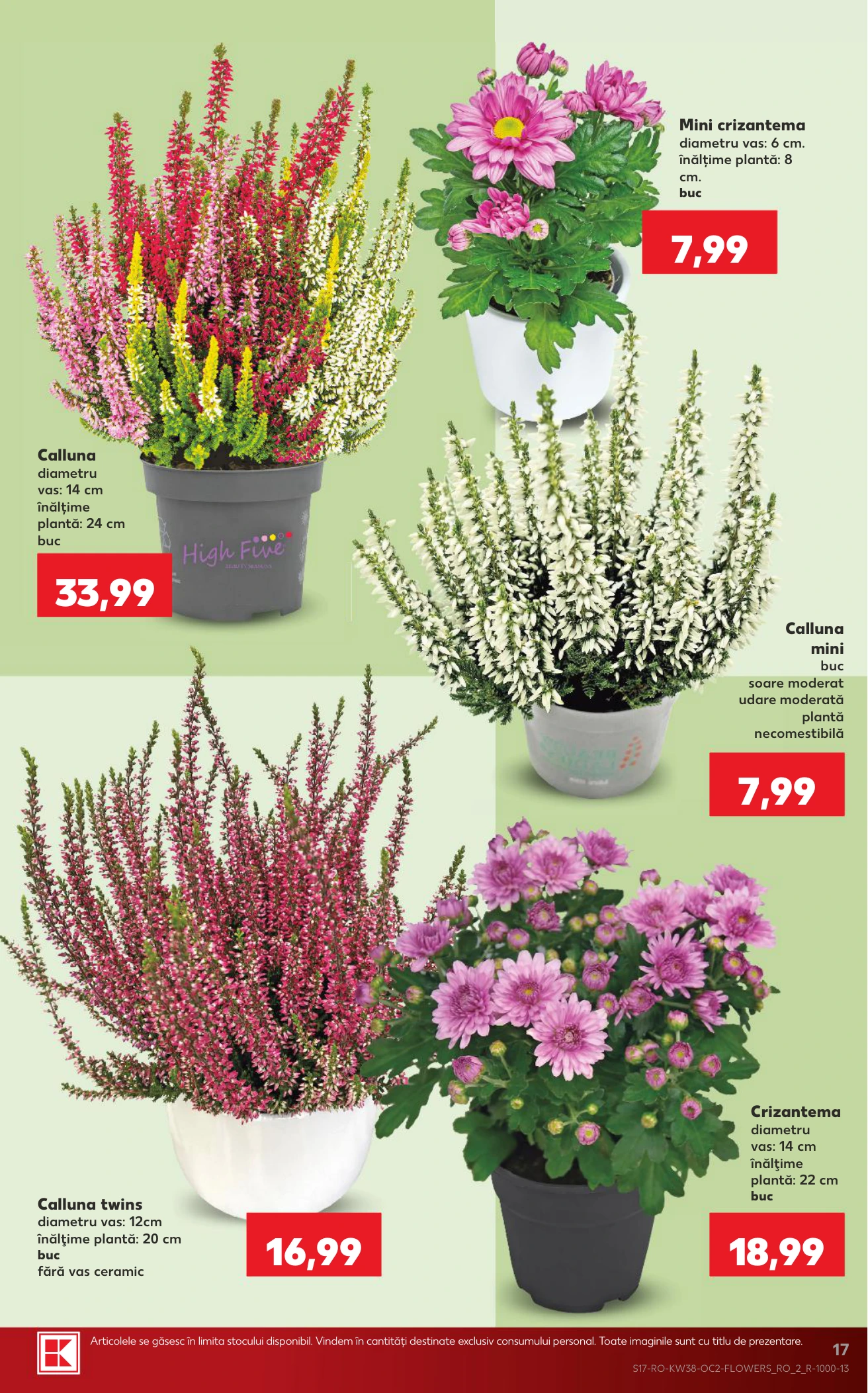 Flyer page 17