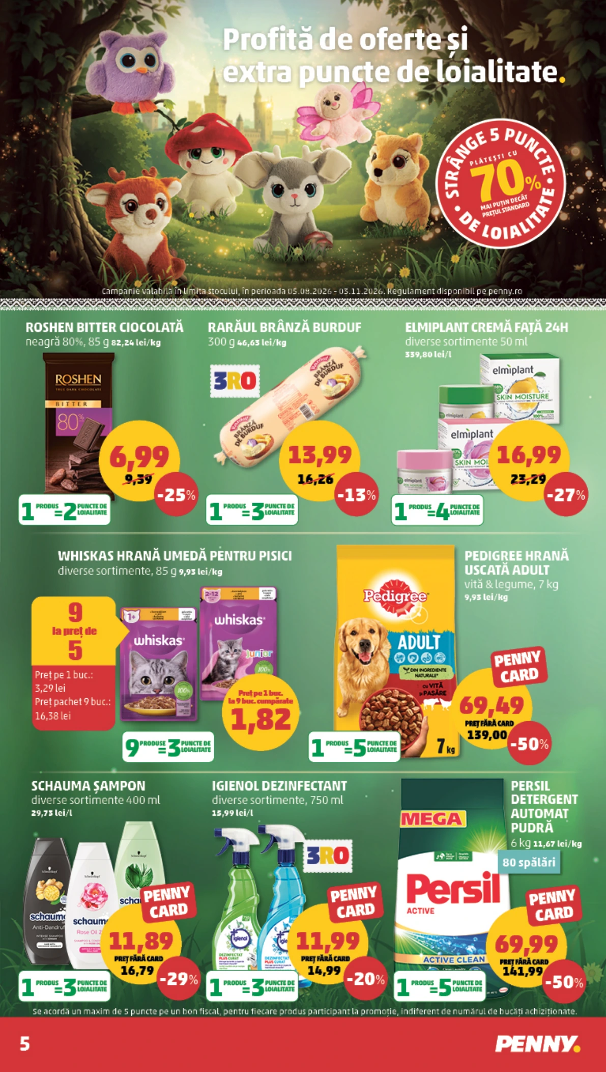 Flyer page 5