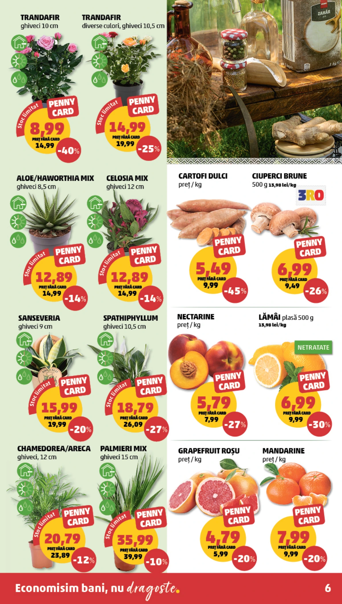 Flyer page 6