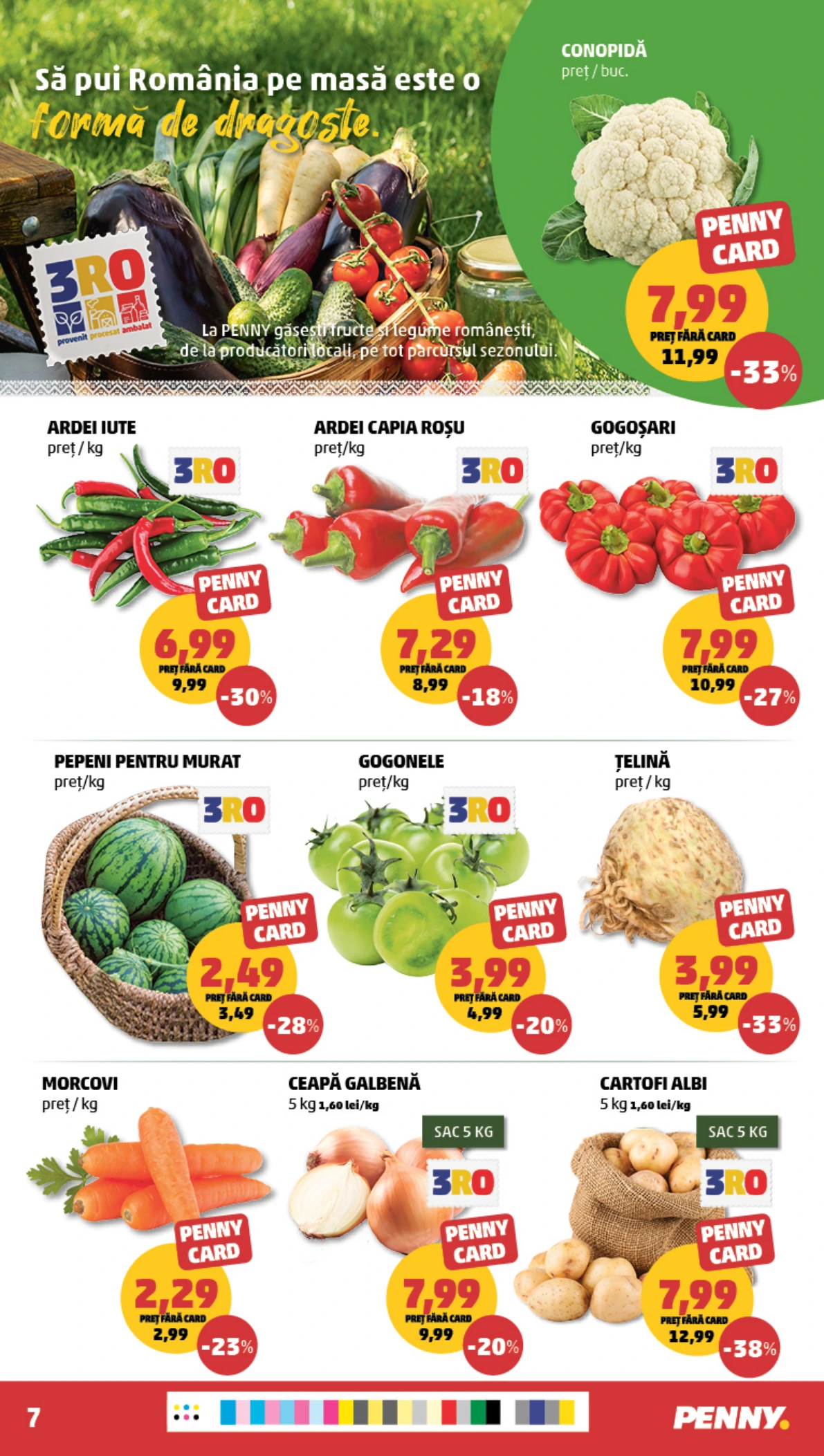 Flyer page 7