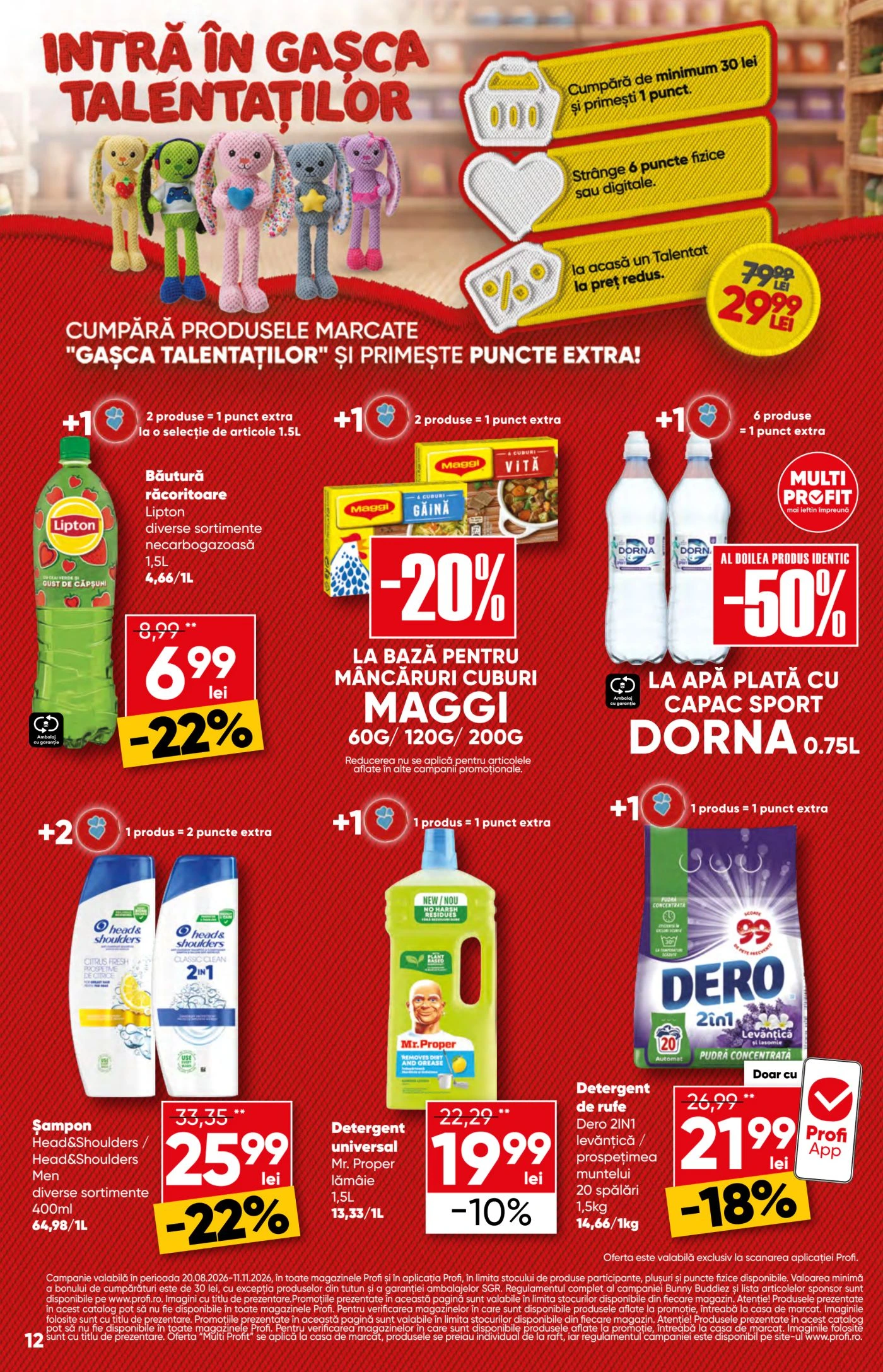 Flyer page 12