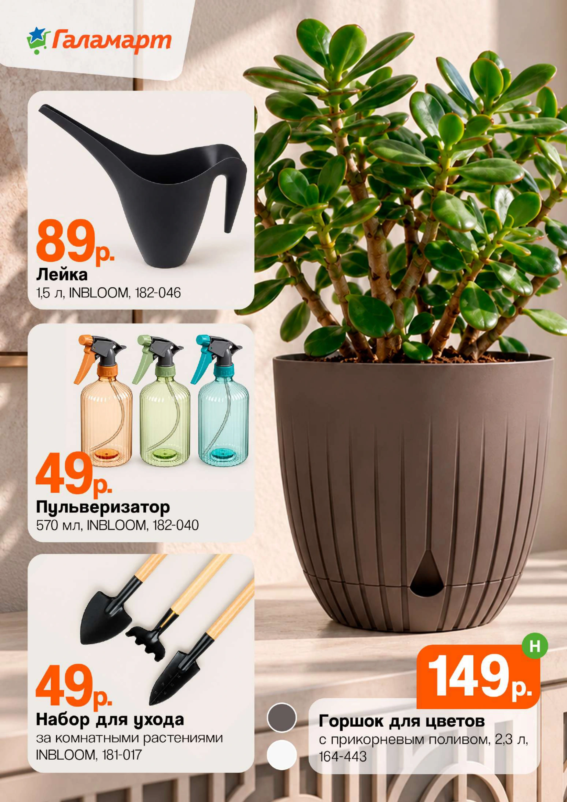 Flyer page 16