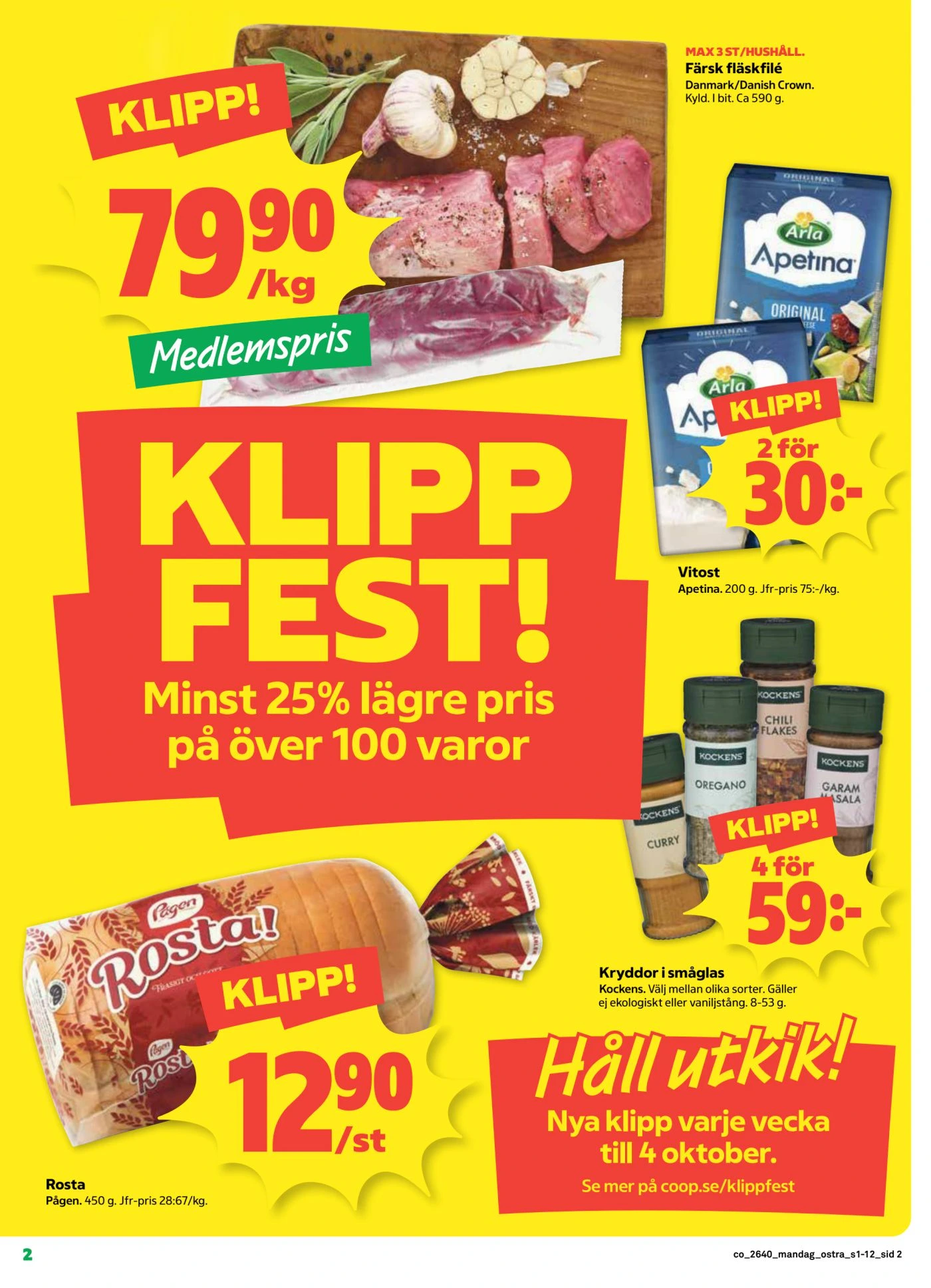 Flyer page 2