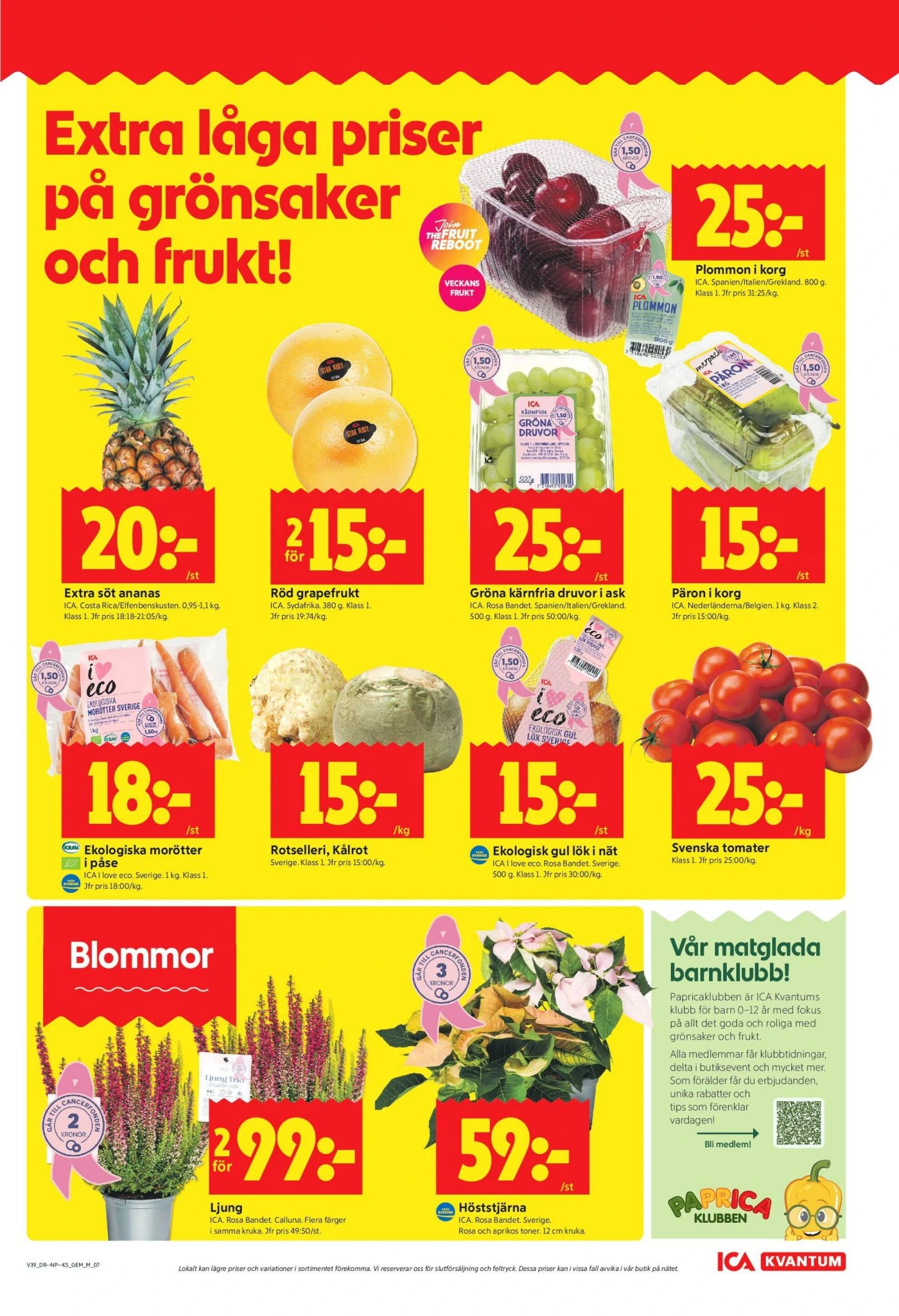 Flyer page 11