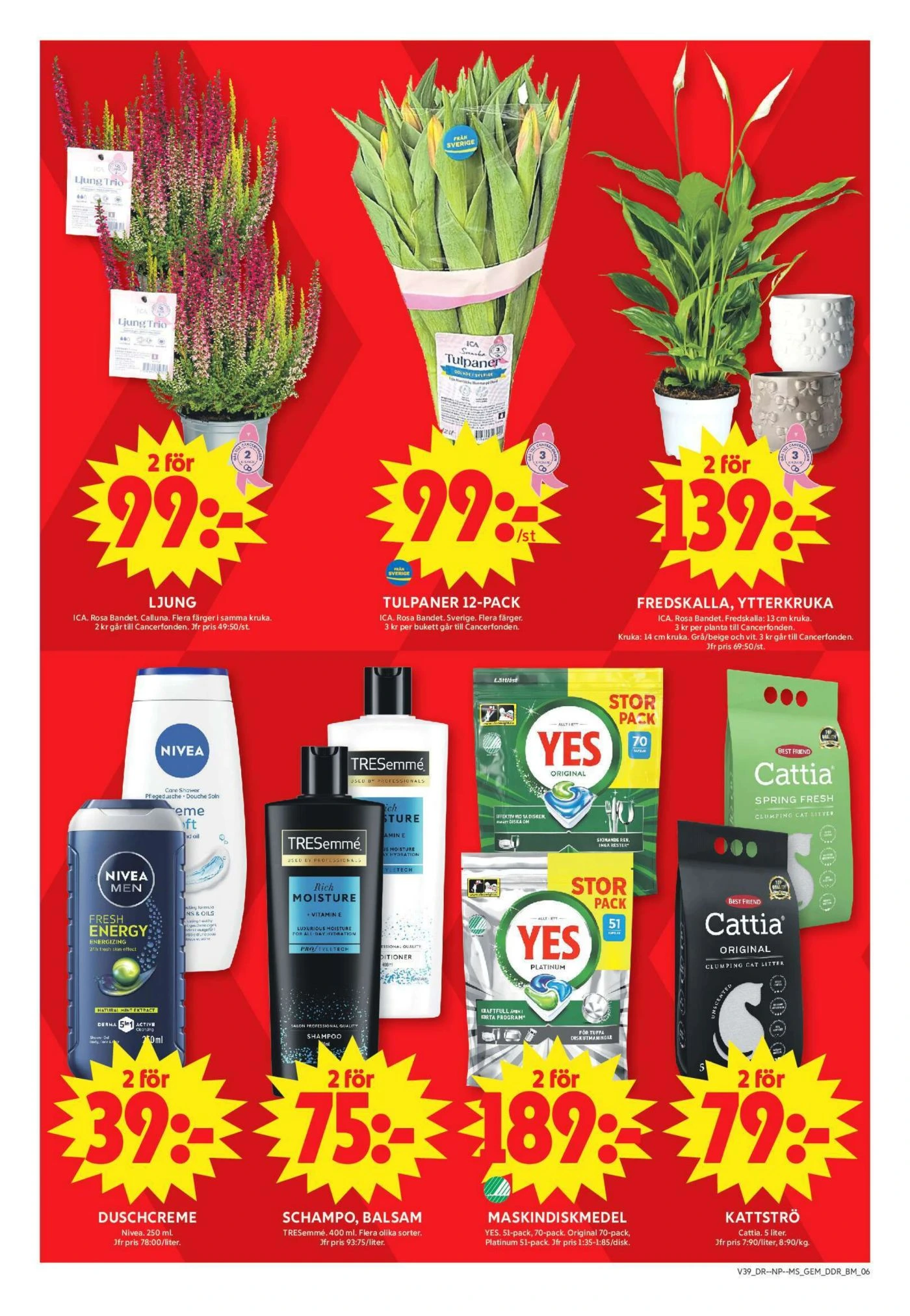 Flyer page 13