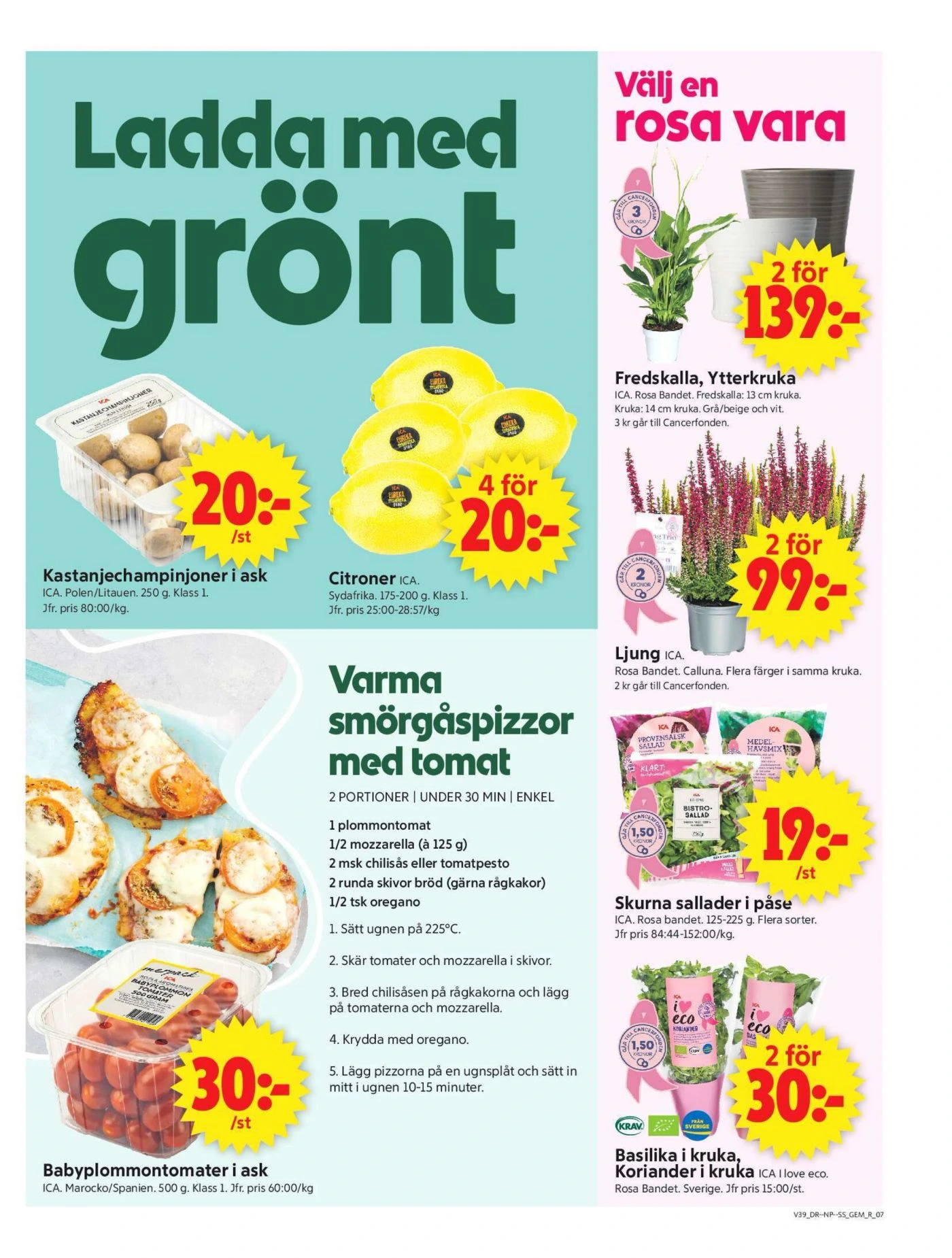 Flyer page 9
