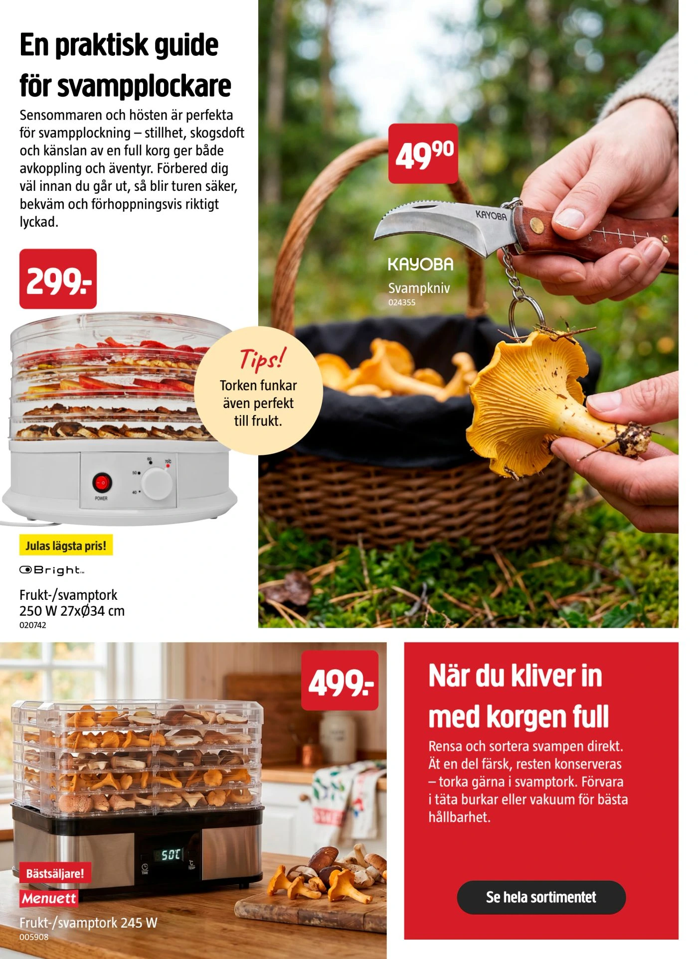 Flyer page 14