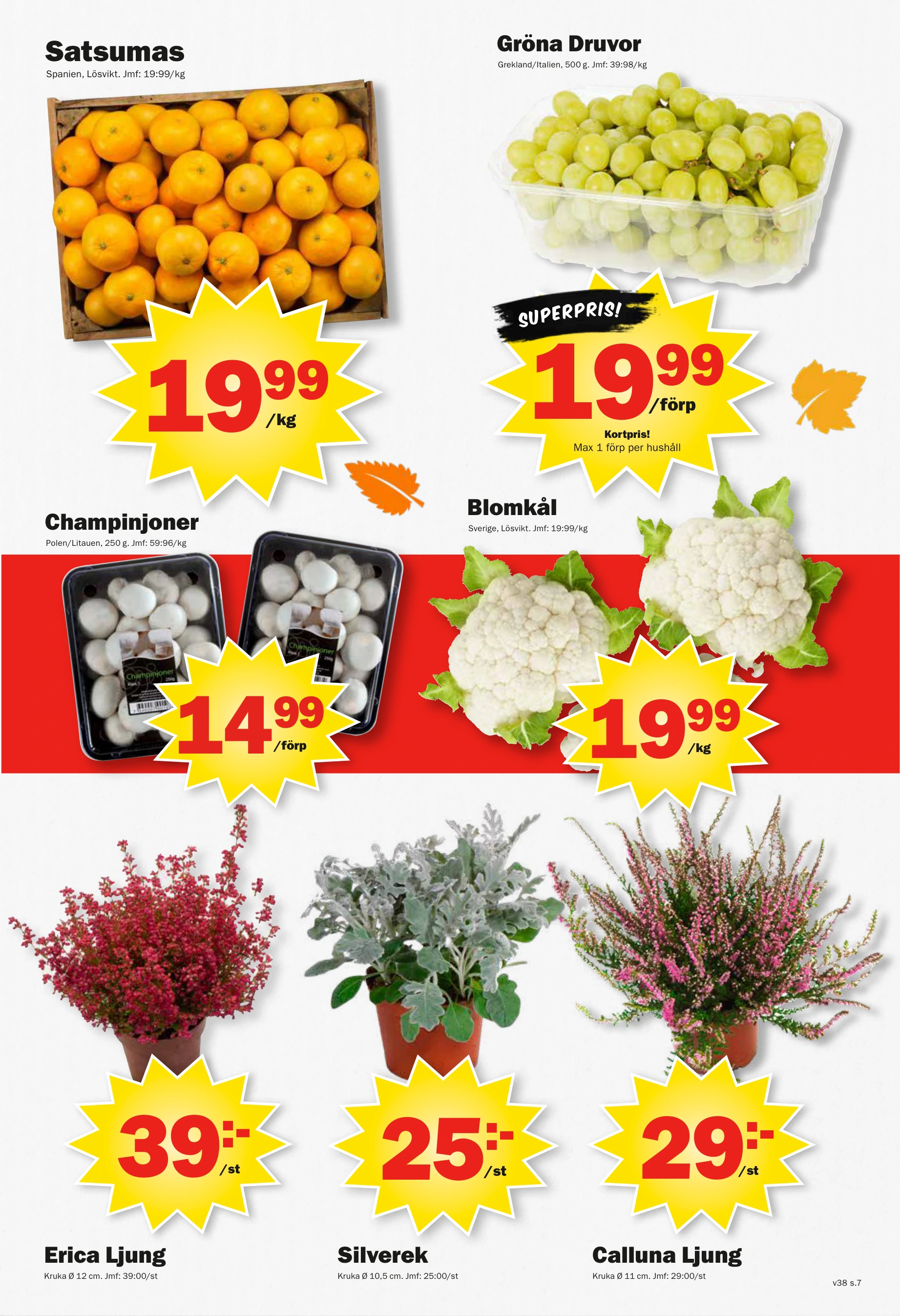 Flyer page 7