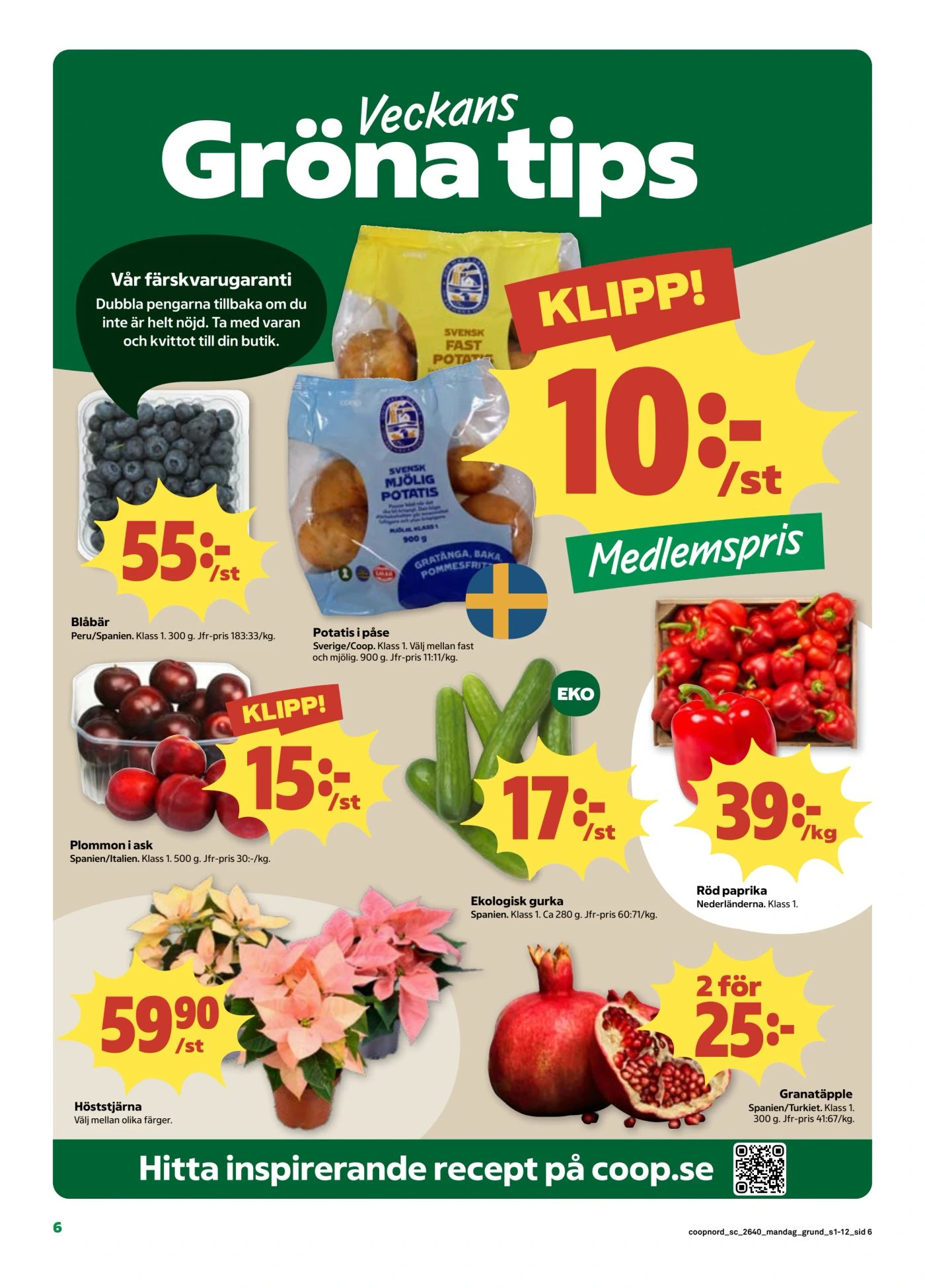 Flyer page 6