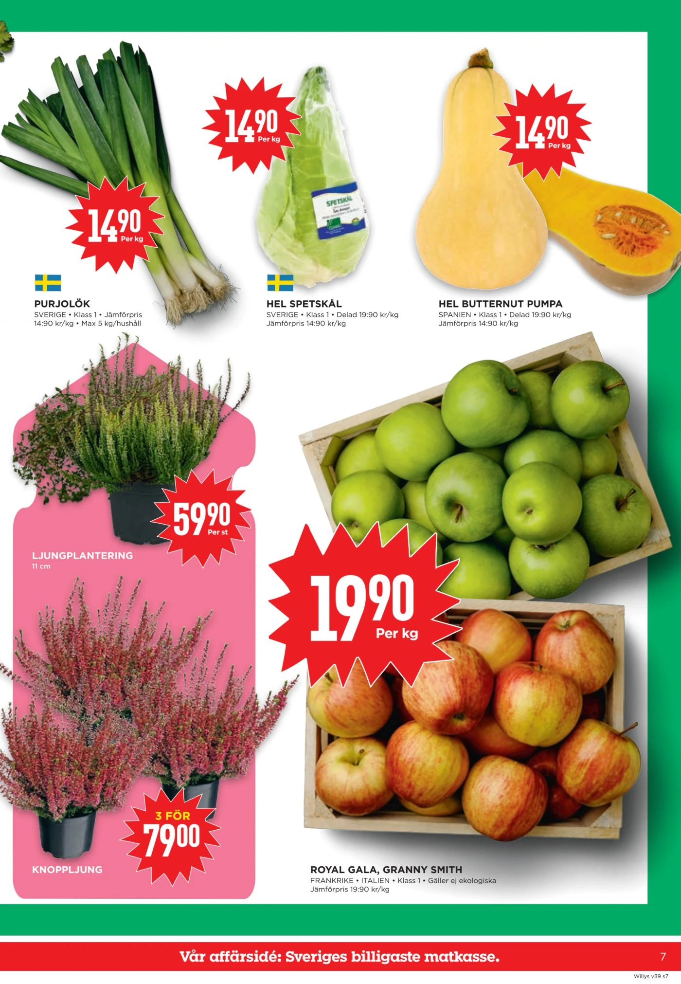 Flyer page 7