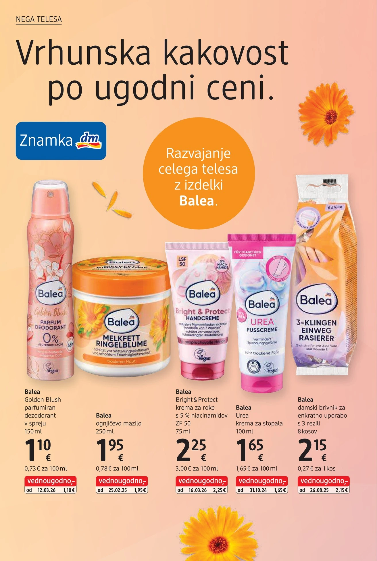 Flyer page 6