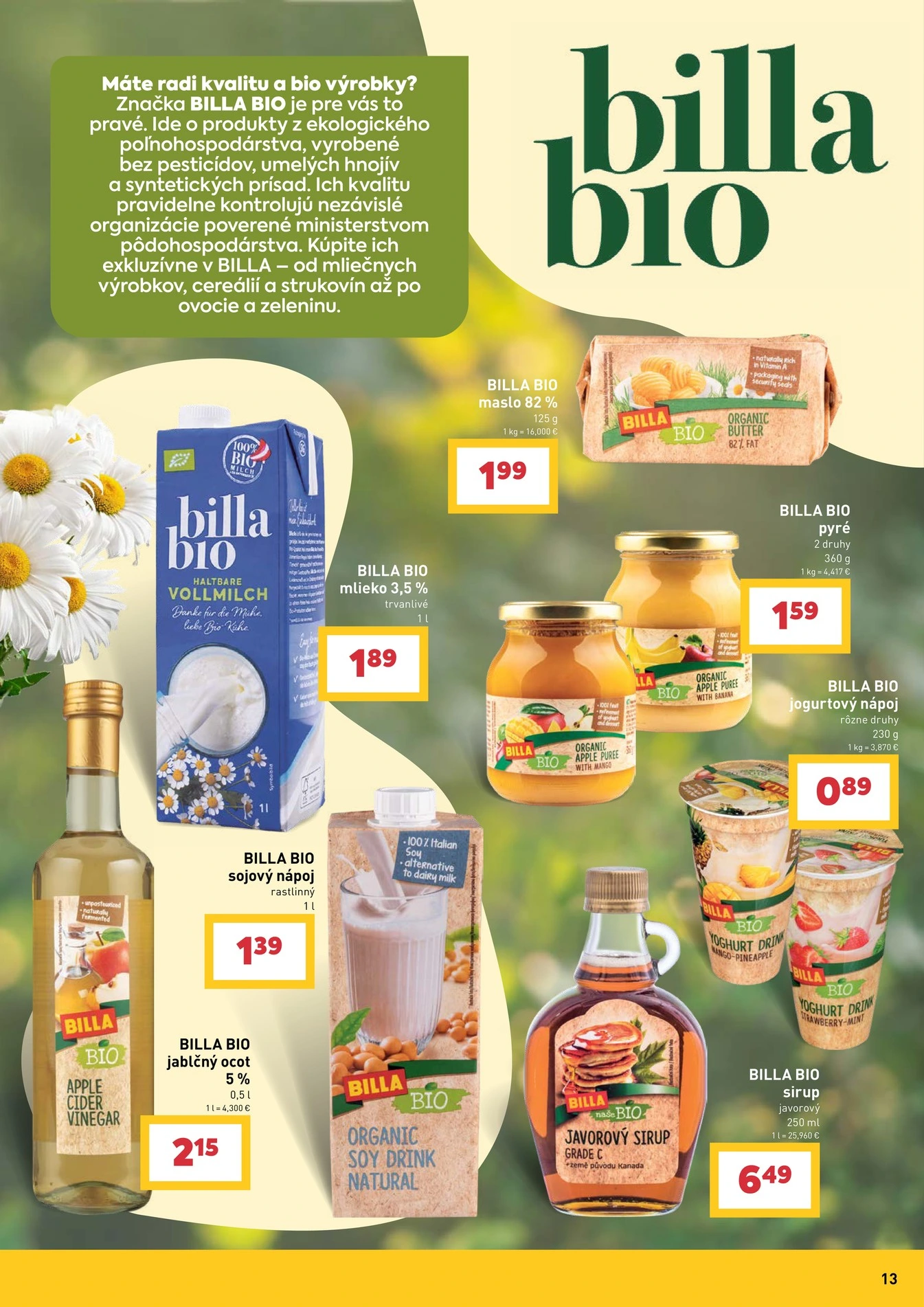 Flyer page 13