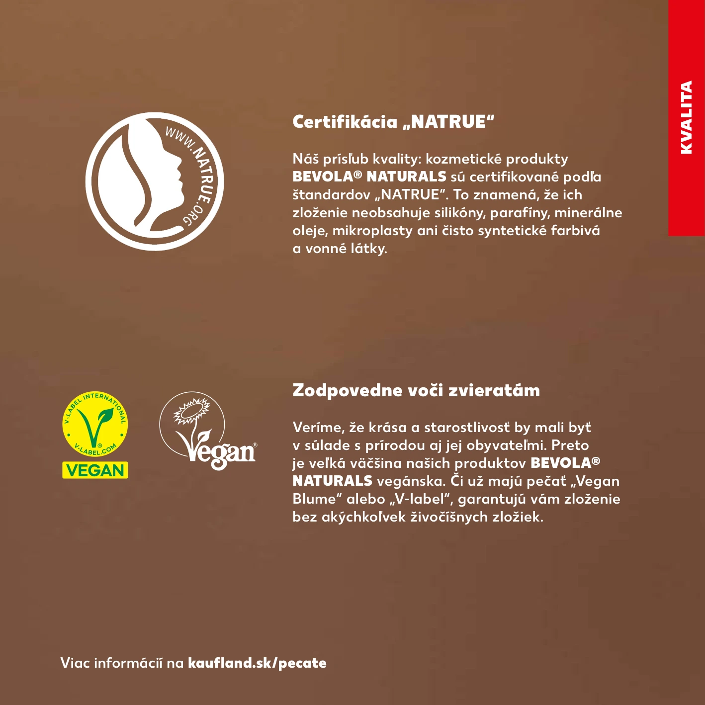 Flyer page 5