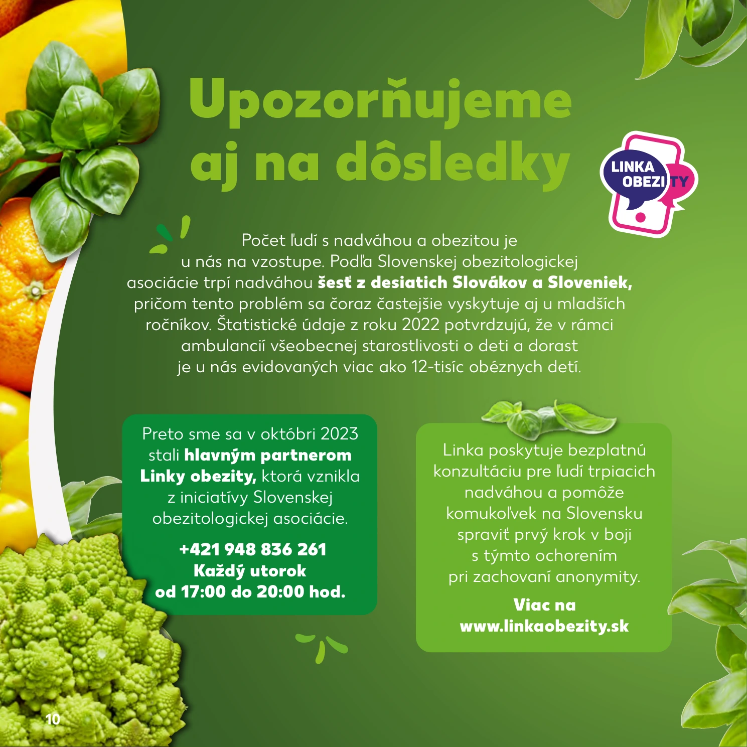 Flyer page 10