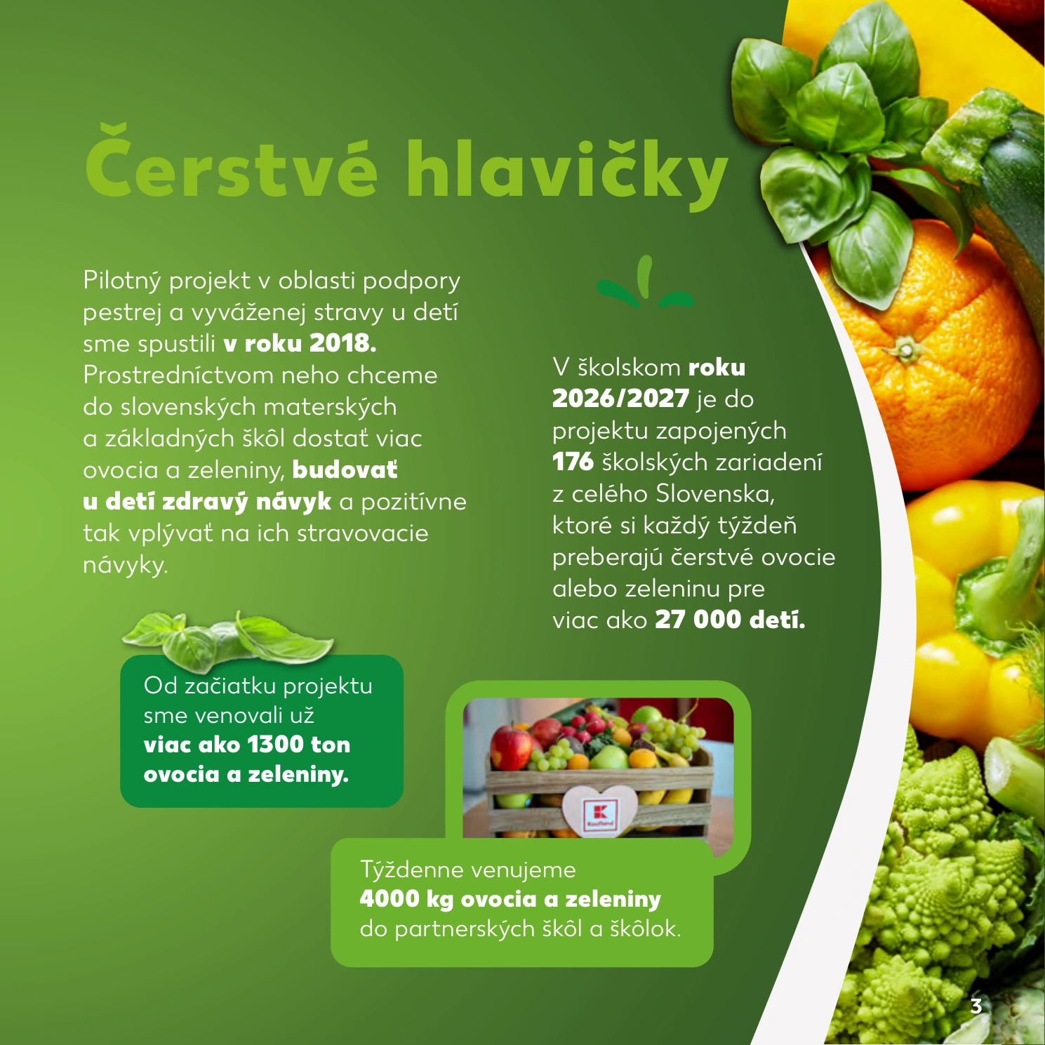 Flyer page 3