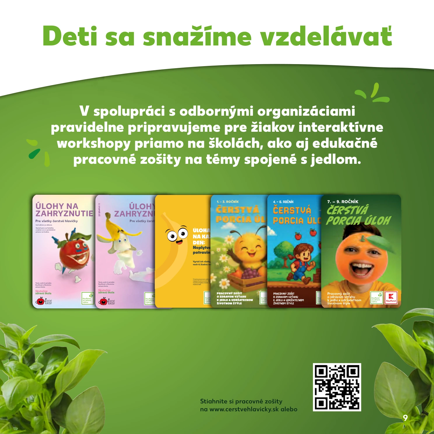 Flyer page 9