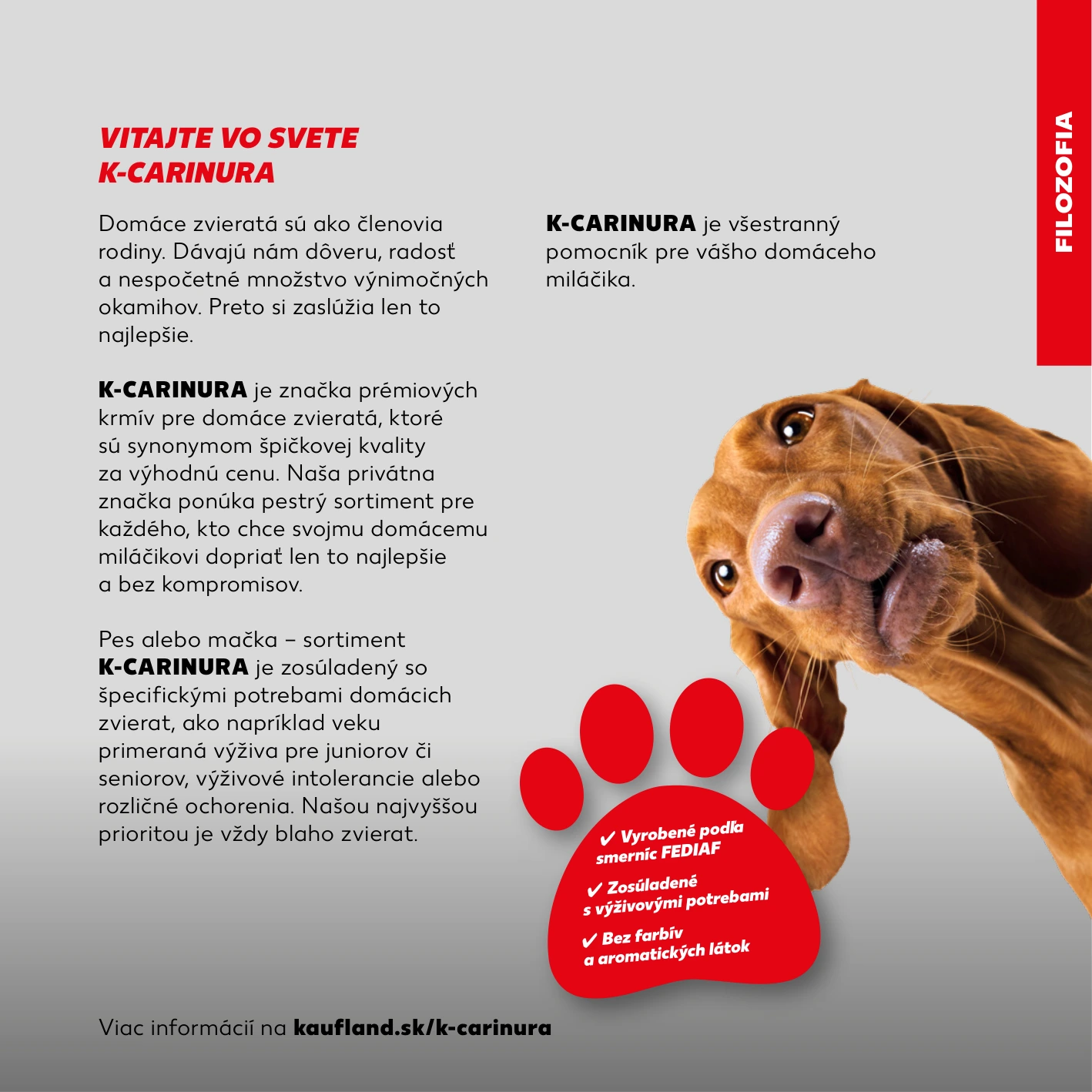 Flyer page 3