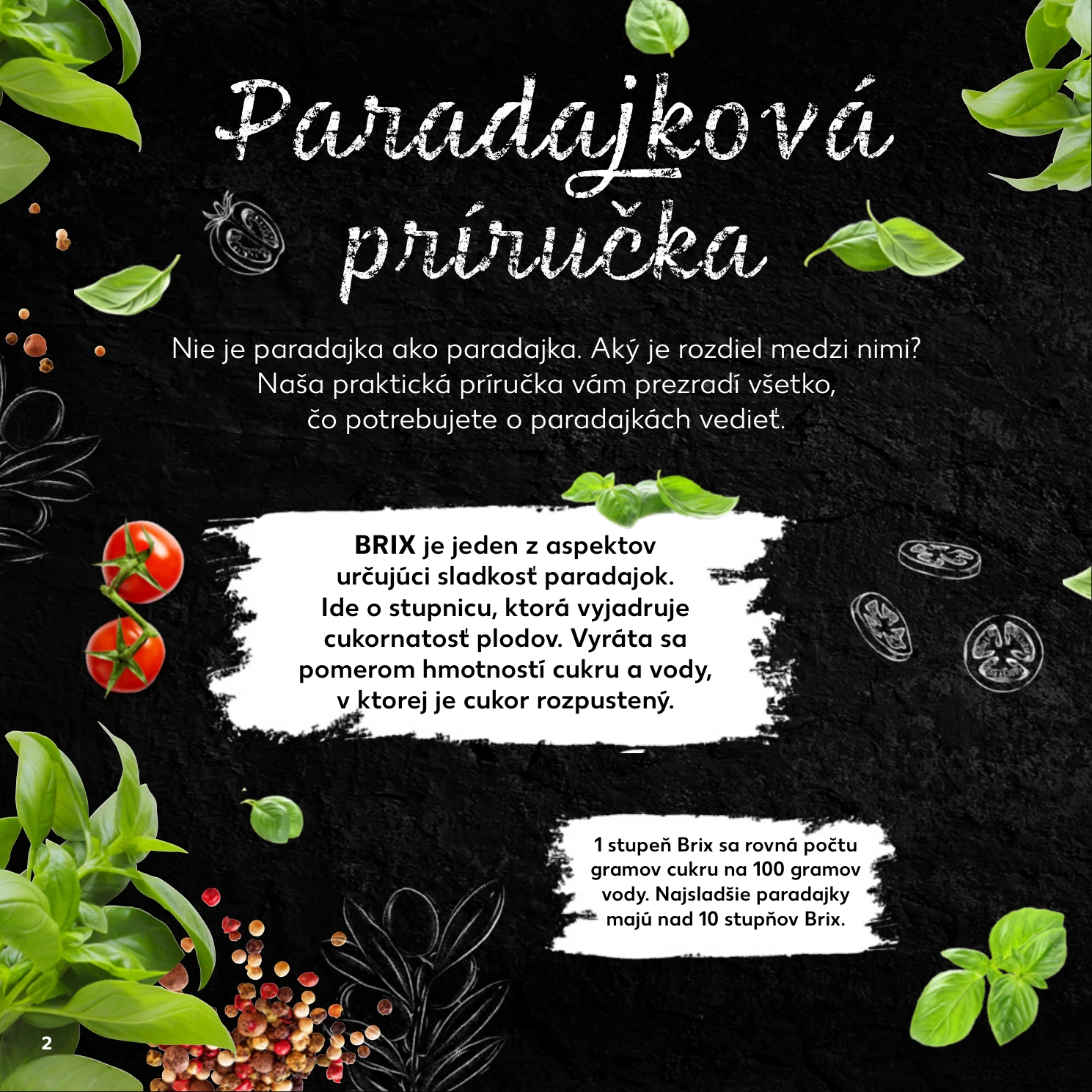 Flyer page 2