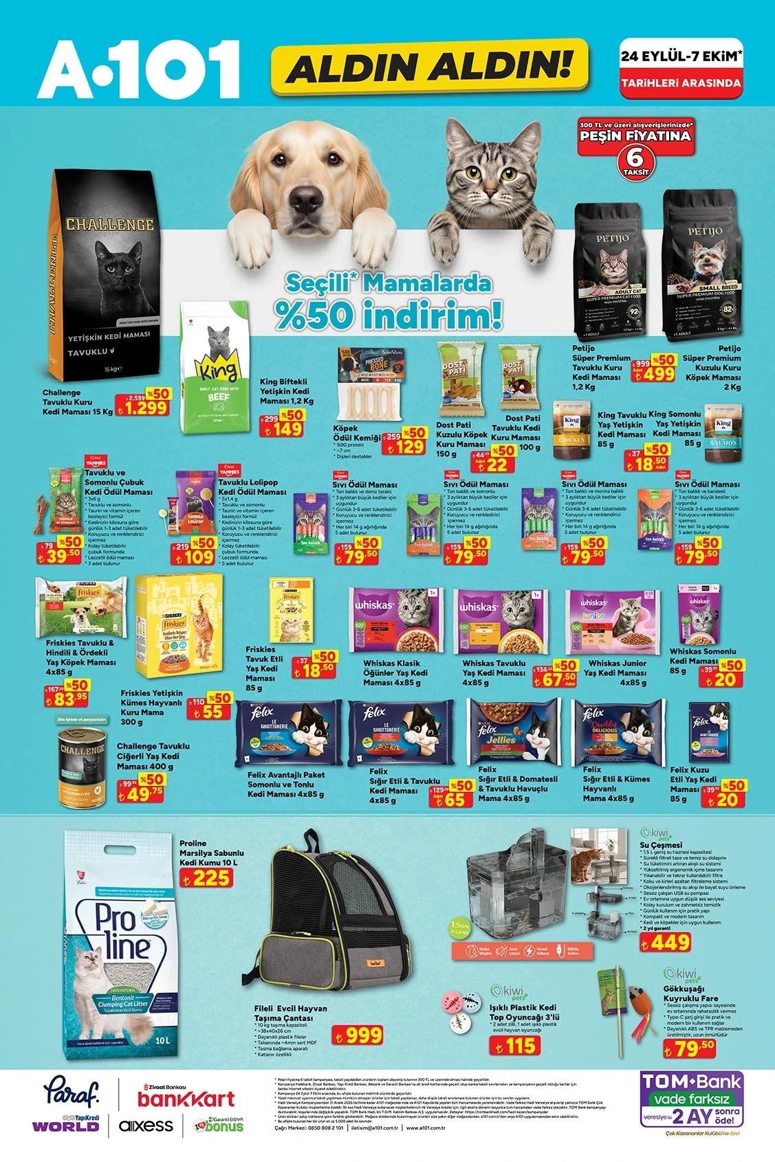 Flyer page 12